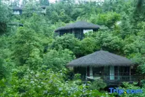 naked Stables Resort, Deqing