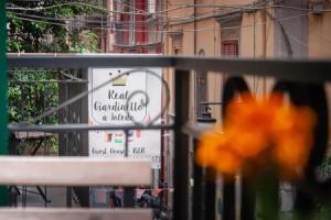Real Giardinetto a Toledo, Naples