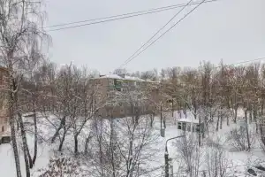 Tolstoy Apart on Odoevskoe highway, Tula