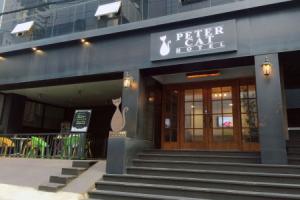 Petercat Hotel Shinchon, Seoul