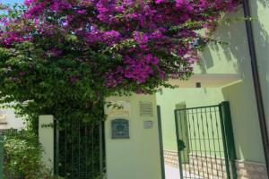 La Casa del Nonno, Campomarino