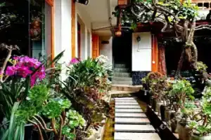 Xu Mi Inn, Lijiang