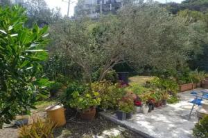 Villa Athina 3, Batsi
