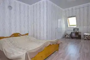 Viola, Krasnodar