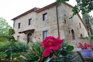 La Mulattiera, Scarlino