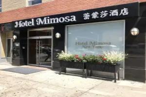 Hotel Mimosa, New York