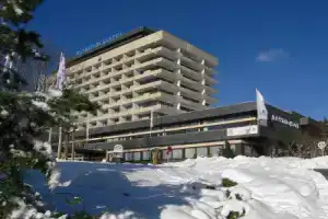 Ahorn Harz Hotel Braunlage, Braunlage