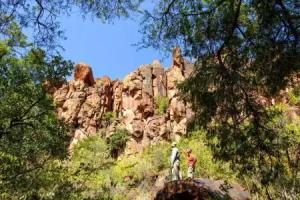 Waterberg Wilderness, Otjiwarongo