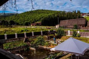 Whiteberry Studio, Palyanytsya