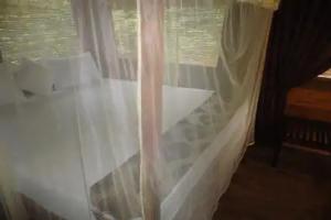 INN On The Tree Eco Resort Sigiriya, Sigiriya