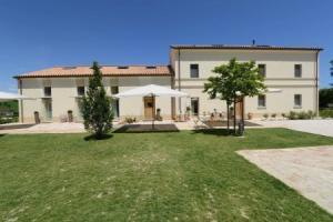 Il Gallo Senone, Senigallia