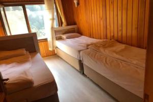 Ayder Ardic Apart, Rize