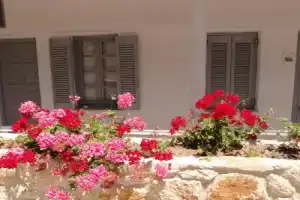 White Suites, Afitos