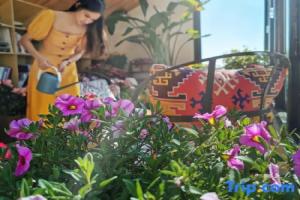 Experience homestay in Heqian's lifestyle, Dali