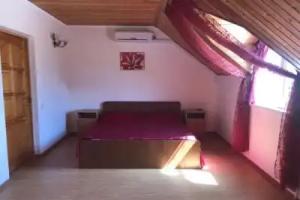Guest House Dana, Pitsunda
