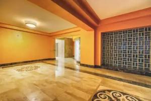 Green Studio, Brasov