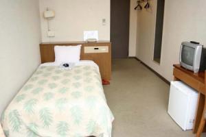 Hotel Yuo Onsen, Kofu