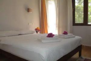 Eucalyptus Pension, Patara