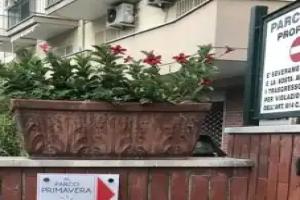 Al Parco Primavera B&B, Sorrento