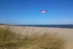 Waldhaus Gertrud - 120 m zum Strand Apartments, Ahlbeck