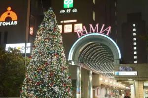 Tokyo Central Youth Hostel, Tokyo