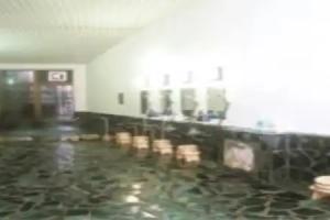 Hotel Sengoku, Fuefuki