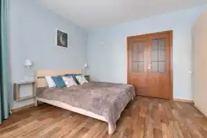 Pushkin-Dom on Krasnoselskoe 28, Pushkin