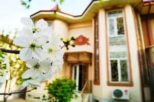 Rakat Inn Navigator, Tashkent