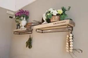 Masseria Baroni Nuovi, Brindisi