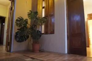 Duche's Guesthouse, Zugdidi