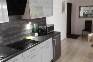Magnolia Apartment, Bialystok