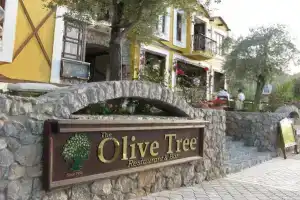 Olive Tree Studio, Fethiye