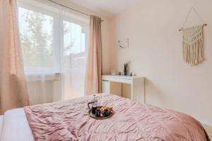Lumina apartments with 2 terrace, Warsaw
