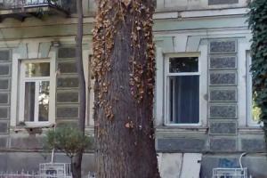 Alexander Guest House, Tbilisi