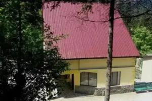 Guest House Borjomi Forest, Borjomi