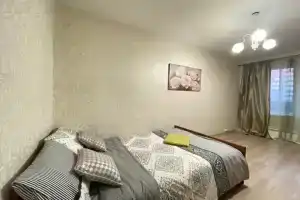 Apartments on the street of the 50th anniversary of the Komsomol 5/16, Korolyov