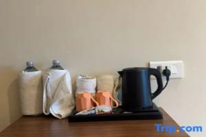 Royal Tiger Luxury Resort, Sauraha