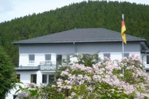 Fewo Penthaus-Blick Apartments, Willingen