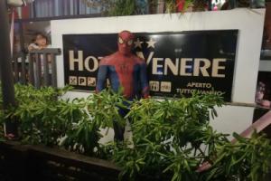 Hotel Venere, Rimini