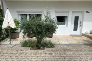 Apartment am Weinberg, Deidesheim