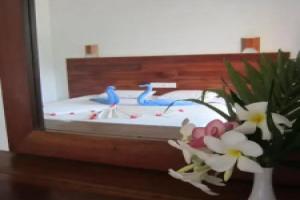 Janus Paradise Rest, Bentota