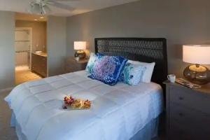 Hibiscus Oceanfront Resort, Saint Augustine Beach