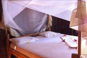 New Teddy's Place - Hostel/Backpacker, Paje