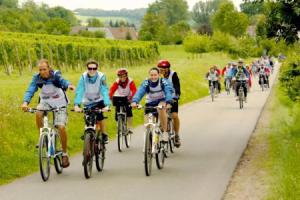 Hotel Sonnekalb, Naumburg