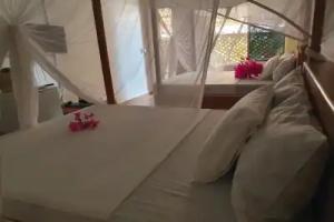 Baridi Villa, Kiwengwa