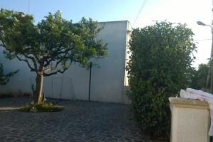Casa Salentina, Patu