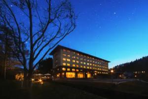 Hotel Ryu Resort and Spa, Takayama