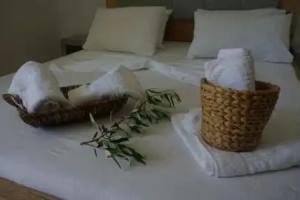 Hotel Ionian, Dhermi