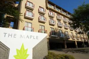 Maple Arima, Kobe