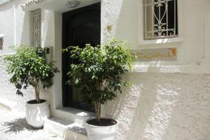 Bab El Fen Guest house, Tangier